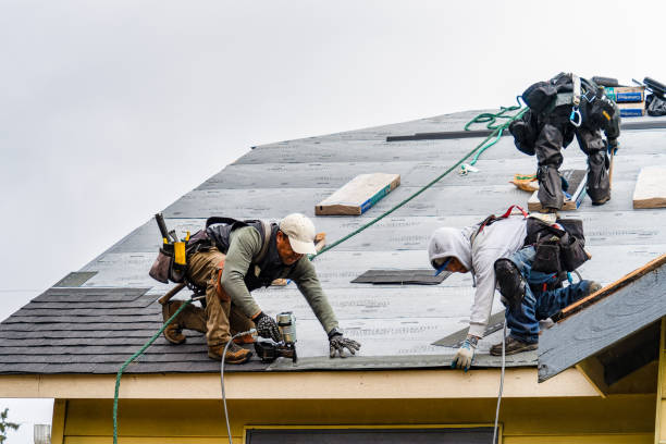 Professional Gutter Installation technician working in Junction City, OR