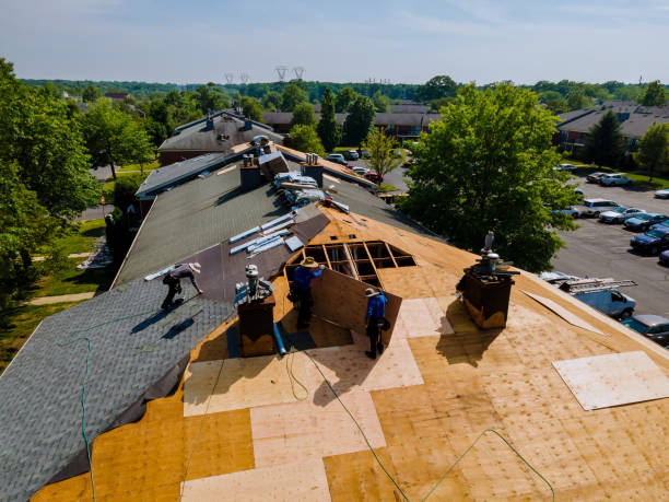 Trusted Roofing service in Junction City, OR - Brentwood Metal Roofing